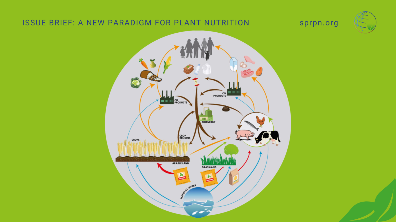 SPRPN – The Scientific Panel On Responsible Plant Nutrition Provides ...