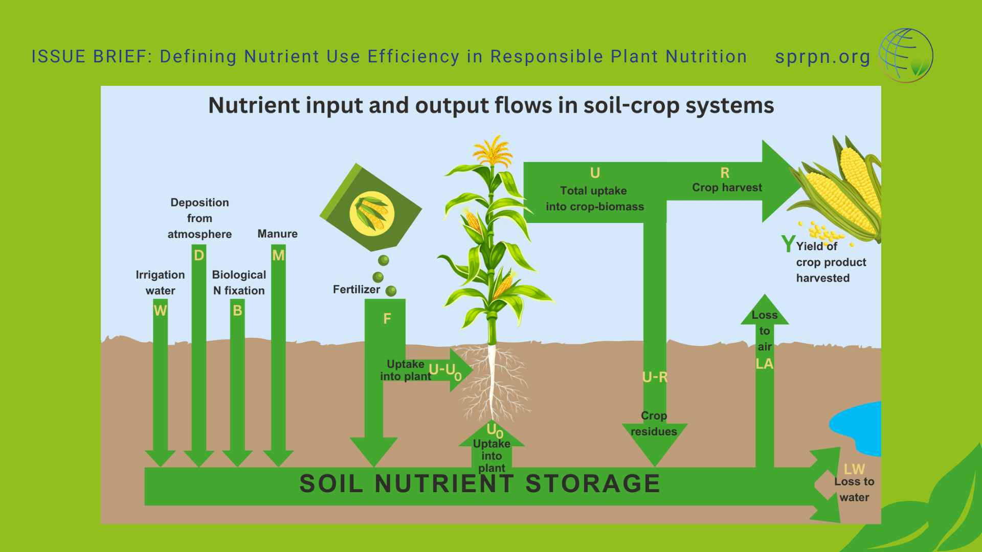 Defining Nutrient Use Efficiency In Responsible Plant Nutrition   SPRPN