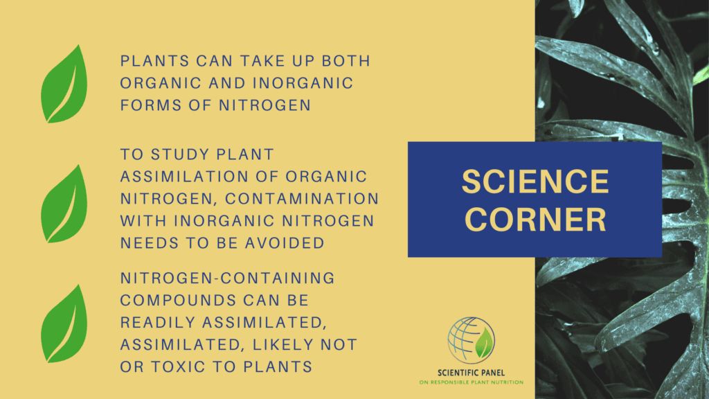 nitrogen-containing compounds can be readily assimilated, assimilated, likely not assimilated or toxic to plants
