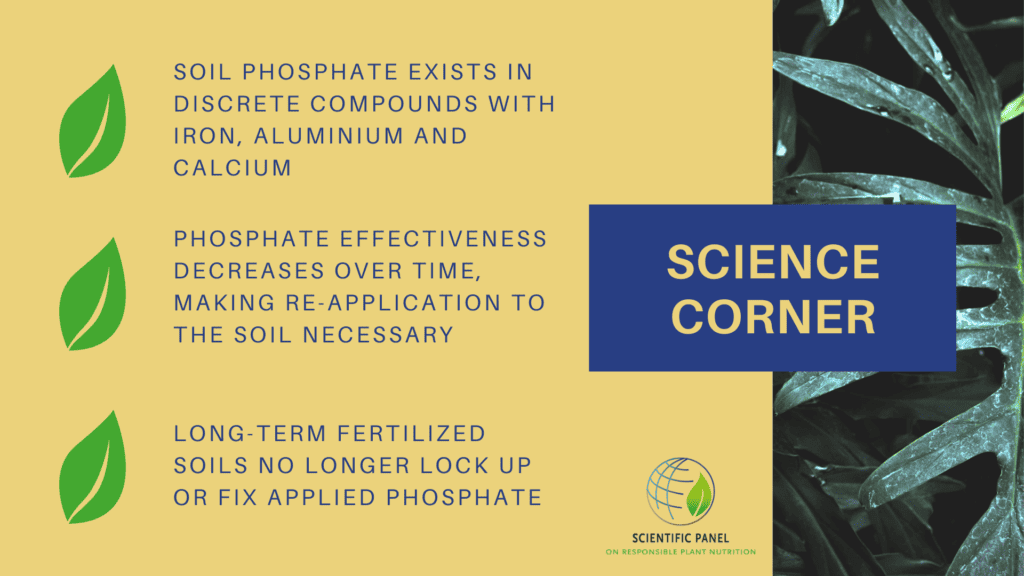 phosphate effectiveness decreases with time making re-application to the soil necessary