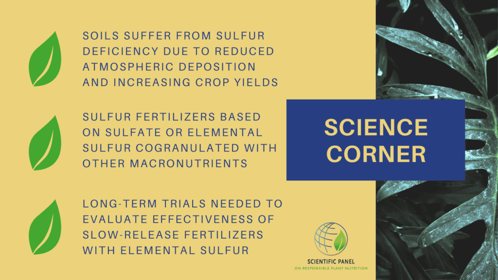 long-term trials needed to evaluate effectiveness of slow-release fertilizer source such as elemental sulfur
