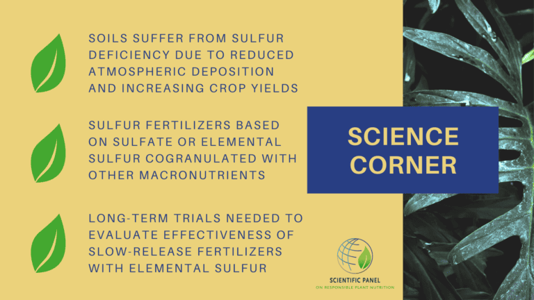 long-term trials needed to evaluate effectiveness of slow-release fertilizer source such as elemental sulfur