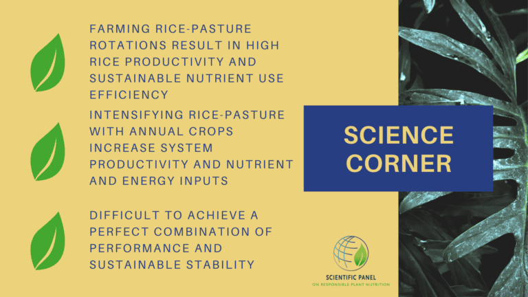 Intensifying farming rice-pasture rotations with annual crops increase system productivity but also nutrient and energy inputs.