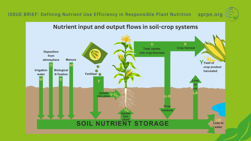 Improving nutrient utilization capacity