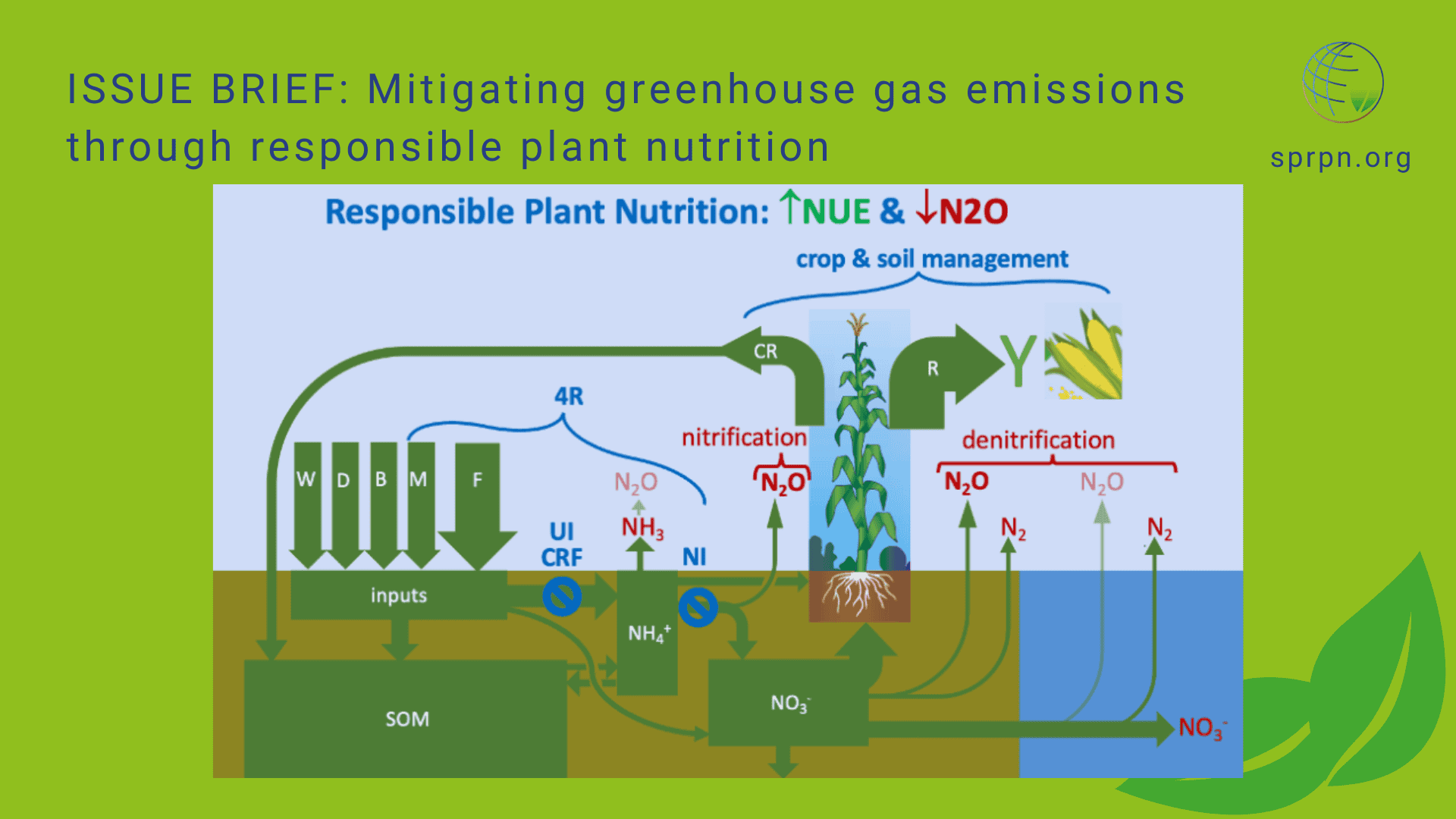 Mitigating greenhouse gas emissions through responsible plant nutrition ...