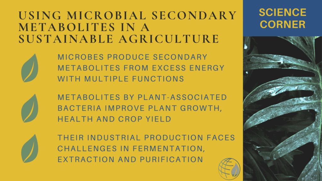 Microbes produce secondary metabolites from excess energy with multiple functions. Metabolites by plant-associated bacteria improve plant growth, health and crop yield Their industrial production faces challenges in fermentation, extraction and purification